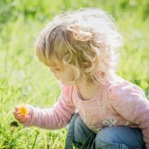 Phonics for toddlers